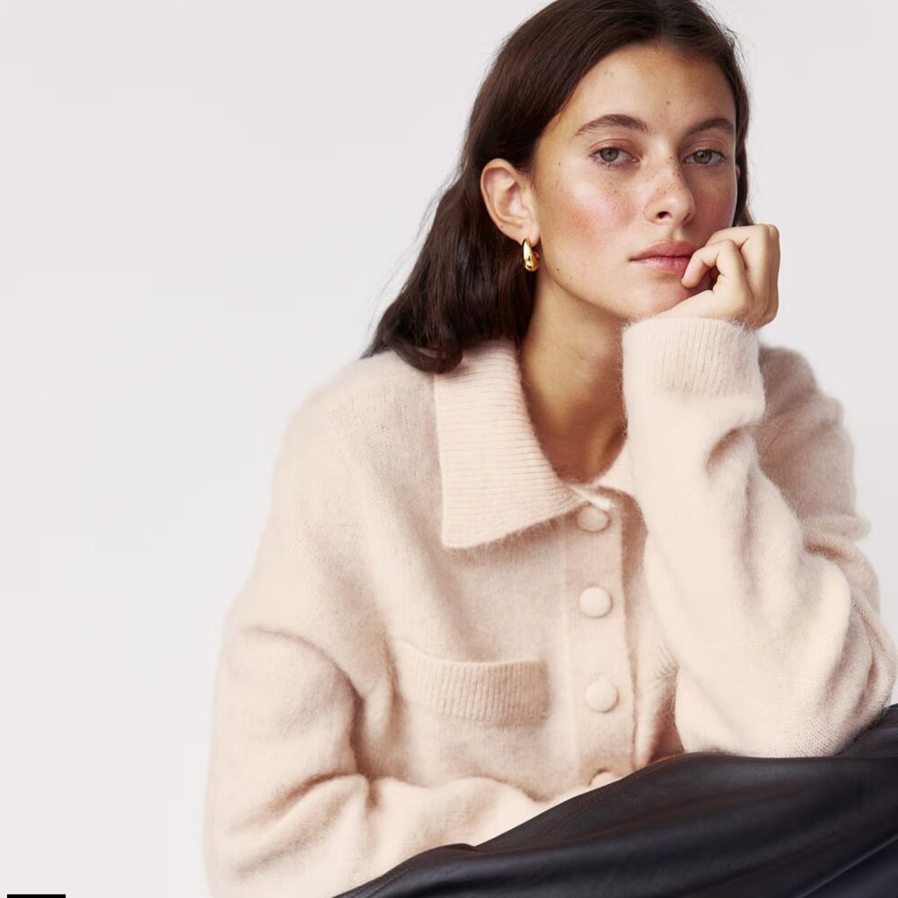 H&M Mohair & Wool Cardigan